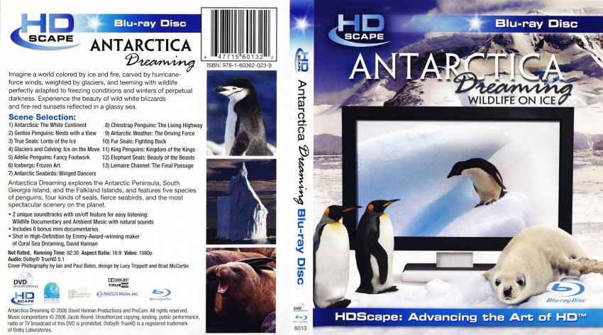 HDScape - Antarctica Dreaming Wildlife On Ice