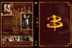 Buffy the Vampire Slayer Season One - Custom Leather-Bound Set