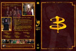 Buffy the Vampire Slayer Season Six - Custom Leather-Bound Set