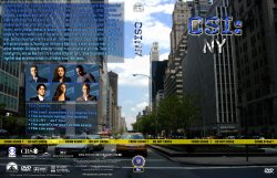 CSI: NY Season 1
