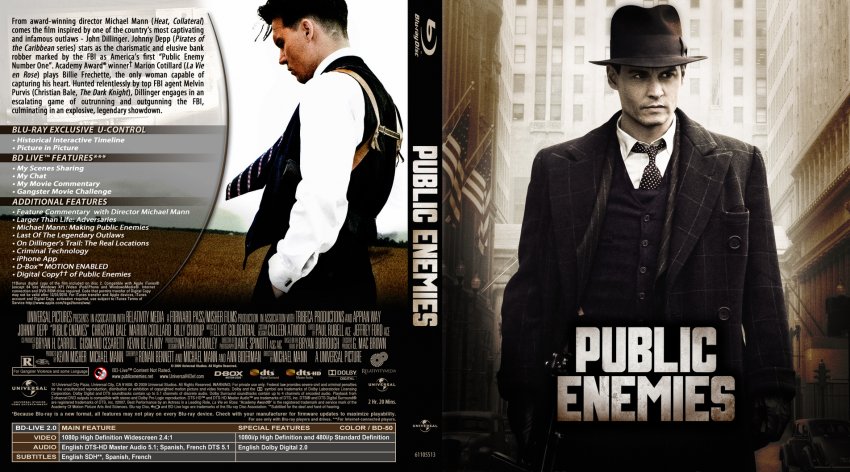 Public Enemies