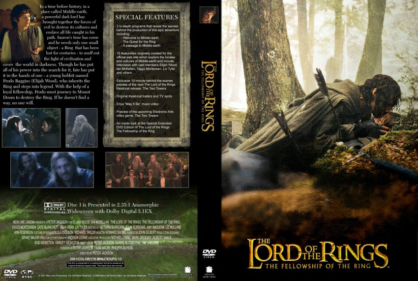 Lord of the Rings Fellowship of the Ring Custom