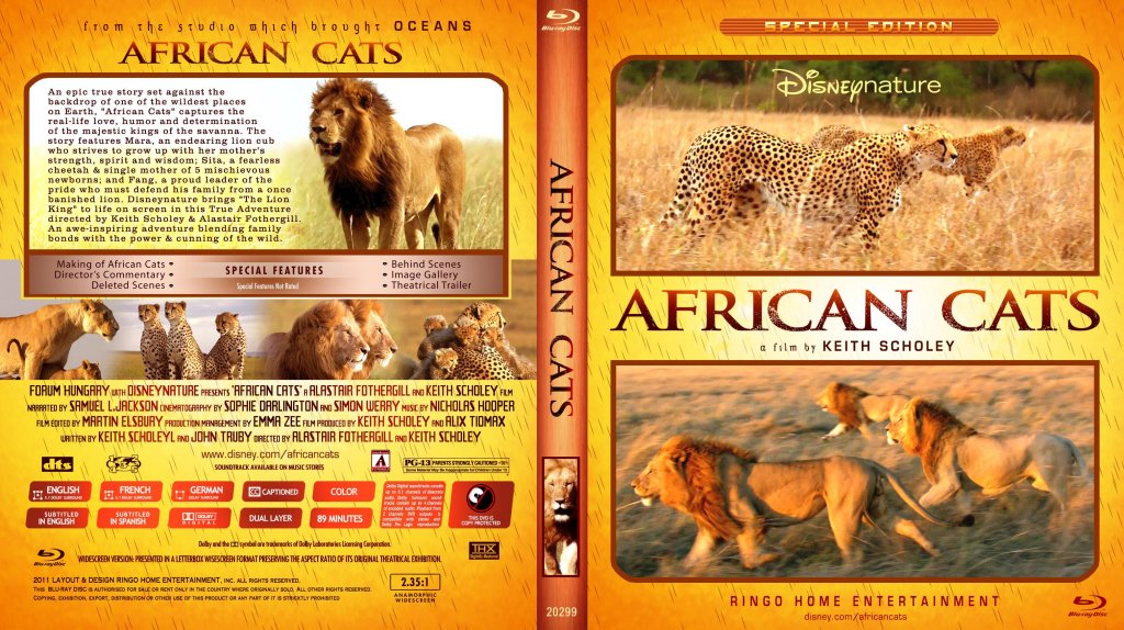 African Cats