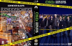 CSI - Season 12, version 1