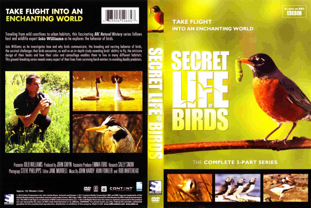 Secret Life Of Birds