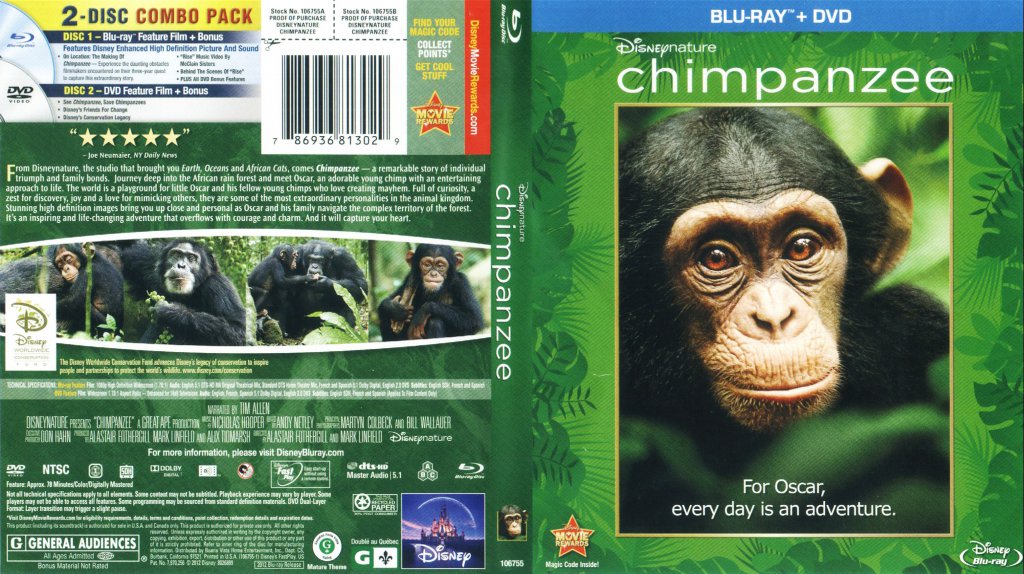 Chimpanzee