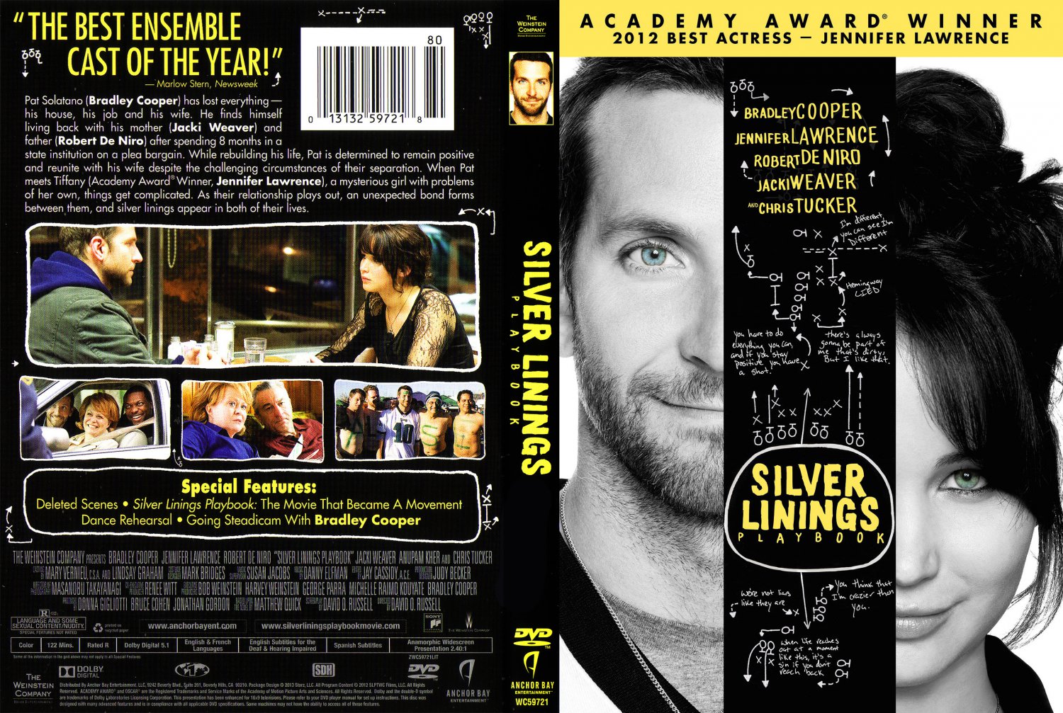 Silver Linings Playbook